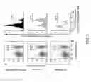 Fig. 04 - Regulatory T cell epitopes, compositions and uses thereof