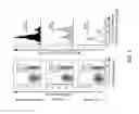 Fig. 04 - Regulatory T cell epitopes, compositions and uses thereof