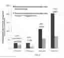 Fig. 07 - Regulatory T cell epitopes, compositions and uses thereof