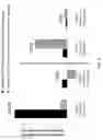 Fig. 06 - Regulatory T cell epitopes, compositions and uses thereof