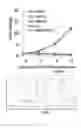 Fig. 04 - Conjugates of GM-CSF and IL-7, and Compositions Thereof