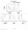 Fig. 07 - Conjugates of GM-CSF and IL-7, and Compositions Thereof