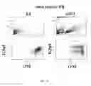 Fig. 11 - Conjugates of GM-CSF and IL-7, and Compositions Thereof