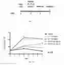 Fig. 16 - Conjugates of GM-CSF and IL-7, and Compositions Thereof