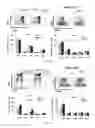Fig. 23 - Conjugates of GM-CSF and IL-7, and Compositions Thereof