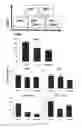 Fig. 27 - Conjugates of GM-CSF and IL-7, and Compositions Thereof