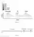 Fig. 28 - Conjugates of GM-CSF and IL-7, and Compositions Thereof