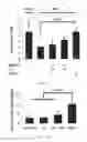Fig. 30 - Conjugates of GM-CSF and IL-7, and Compositions Thereof