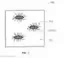 Fig. 03 - FORMULATIONS OF HYDROPHILIC COMPOUNDS