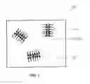Fig. 04 - FORMULATIONS OF HYDROPHILIC COMPOUNDS