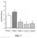 Fig. 06 - Method and composition for enhancing the delivery of anti-platelet drugs for the treatment of acute stroke