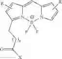 Fig. 41 - CONJUGATES FOR TREATING DISEASES CAUSED BY PSMA EXPRESSING CELLS