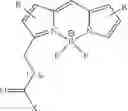 Fig. 32 - PSMA binding ligand-linker conjugates and methods for using