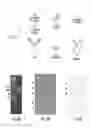 Fig. 02 - Antimicrobial compositions comprising single domain antibodies and exotoxin
