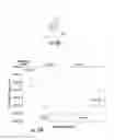 Fig. 09 - Antimicrobial compositions comprising single domain antibodies and exotoxin