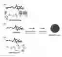 Fig. 01 - Micelle composition for nucleic acid delivery using temperature-sensitive polymer and method for producing same