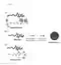 Fig. 02 - Micelle composition for nucleic acid delivery using temperature-sensitive polymer and method for producing same