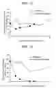 Fig. 08 - Method for Evaluating Hematological Toxicity of Drug Under Evaluation, and Model for Evaluating Hematological Toxicity of Drug Under Evaluation