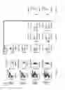 Fig. 09 - Preclinical model of neonatal necrotizing enterocolitis
