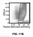 Fig. 19 - Compounds having RD targeting motifs and methods of use thereof
