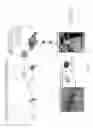 Fig. 03 - Methods and compositions for cancer diagnosis