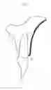 Fig. 04 - Membrane for guided bone regeneration and a method thereof