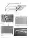 Fig. 02 - Composite collagen hydrogel material, an implantable opthalmic device comprising such material and methods of producing the composite collagen hydrogel material and the implantable ophthalmic device