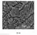 Fig. 07 - Bifunctional Bioactive Antibacterial Coatings, and Process for Coating Implant Surfaces Therewith