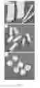 Fig. 02 - Composite materials for bone repair based on decellularized biological tissue matrix material and the preparation method thereof