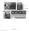 Fig. 06 - Tissue scaffold materials for tissue regeneration and methods of making