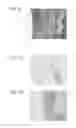 Fig. 09 - Medical base material