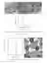 Fig. 02 - NANOPARTICLES AND PREPARATION METHOD THEREOF