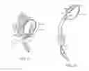 Fig. 22 - DENTAL DEVICE AND SUCTION DEVICE
