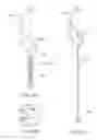 Fig. 31 - DENTAL DEVICE AND SUCTION DEVICE
