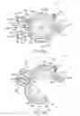 Fig. 44 - Surgical punch