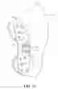 Fig. 43 - Valsalva mask