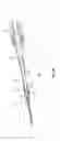 Fig. 08 - Low-profile extension for a catheter assembly
