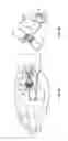 Fig. 02 - Catheter securement device with window