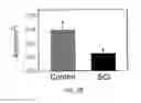 Fig. 06 - DIPOLE ELECTRICAL STIMULATION EMPLOYING DIRECT CURRENT FOR RECOVERY FROM SPINAL CORD INJURY