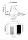 Fig. 11 - DIPOLE ELECTRICAL STIMULATION EMPLOYING DIRECT CURRENT FOR RECOVERY FROM SPINAL CORD INJURY