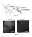 Fig. 22 - DIPOLE ELECTRICAL STIMULATION EMPLOYING DIRECT CURRENT FOR RECOVERY FROM SPINAL CORD INJURY