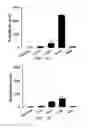Fig. 25 - DIPOLE ELECTRICAL STIMULATION EMPLOYING DIRECT CURRENT FOR RECOVERY FROM SPINAL CORD INJURY