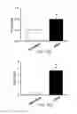 Fig. 34 - DIPOLE ELECTRICAL STIMULATION EMPLOYING DIRECT CURRENT FOR RECOVERY FROM SPINAL CORD INJURY
