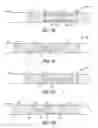 Fig. 04 - VARIATION OF SPATIAL PATTERNS IN TIME FOR COORDINATED RESET STIMULATION