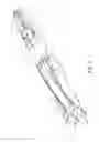 Fig. 03 - Stretch exercise system