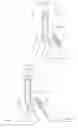Fig. 06 - Device for demonstrating a medical procedure