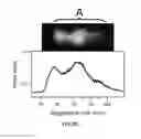 Fig. 08 - Multi-use acoustic levitation trap