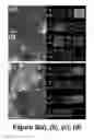 Fig. 04 - Method of production of nanoporous membranes for water purification from metal ions at low differential pressures