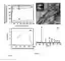 Fig. 06 - Semiconductor-oxides nanotubes-based composite particles useful for dye-removal and process thereof