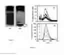 Fig. 08 - Semiconductor-oxides nanotubes-based composite particles useful for dye-removal and process thereof